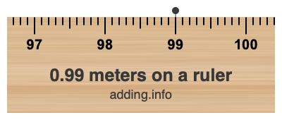 0.99 meters on a ruler