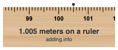 1.005 meters on a ruler