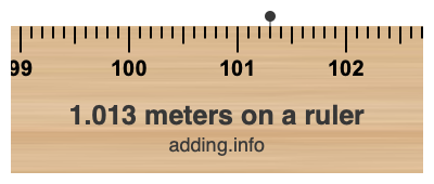 1.013 meters on a ruler