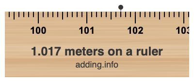 1.017 meters on a ruler