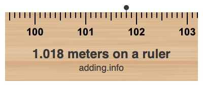 1.018 meters on a ruler