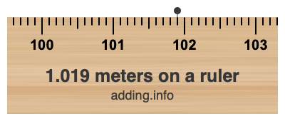 1.019 meters on a ruler