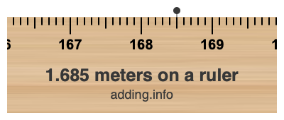 1.685 meters on a ruler 1.685 meters on a ruler