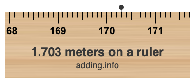 1.703 meters on a ruler