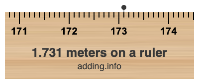 1.731 meters on a ruler 1.731 meters on a ruler