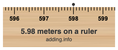 5.98 meters on a ruler