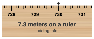 7.3 meters on a ruler