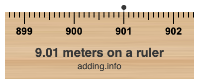 9.01 meters on a ruler