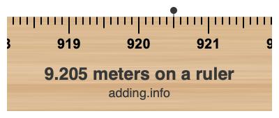 9.205 meters on a ruler