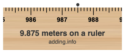 9.875 meters on a ruler