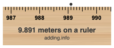 9.891 meters on a ruler
