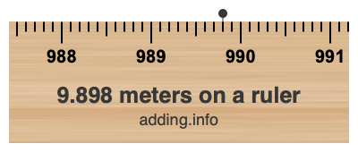 9.898 meters on a ruler