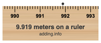 9.919 meters on a ruler