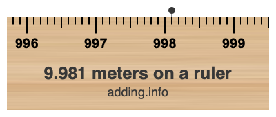 9.981 meters on a ruler