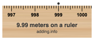 9.99 meters on a ruler 9.99 meters on a ruler