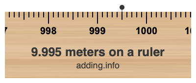 9.995 meters on a ruler